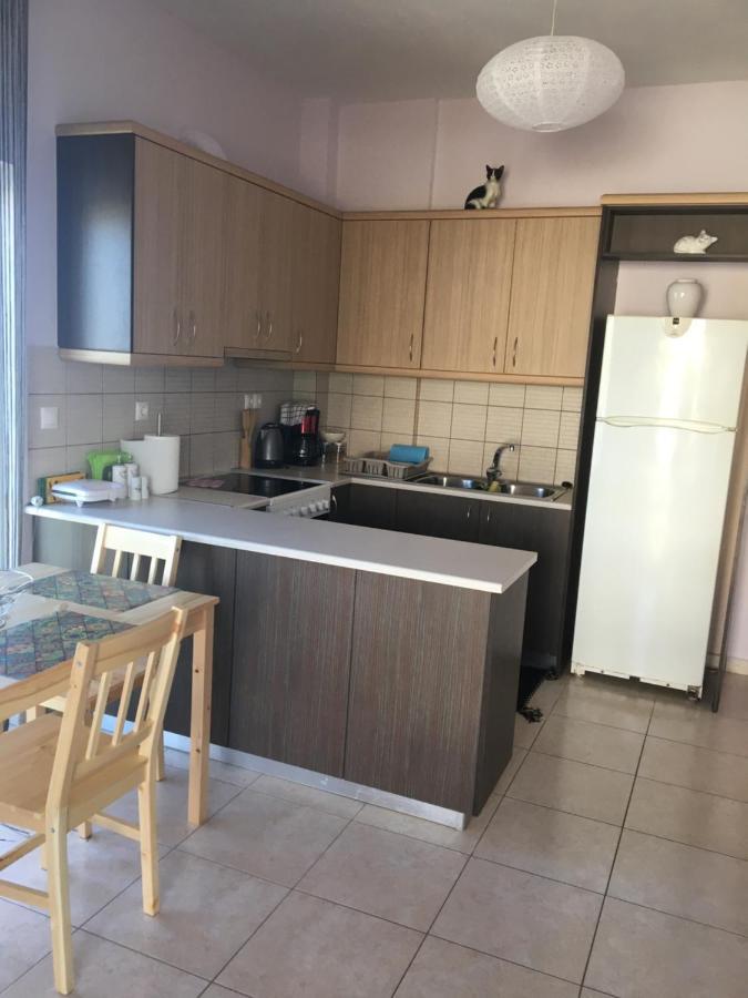 180 Degree Sea View Apartment Palaiochora Ngoại thất bức ảnh